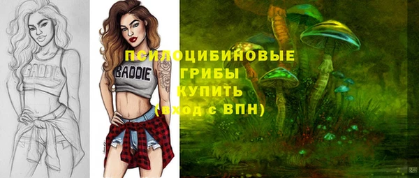 прущая мука Заводоуковск