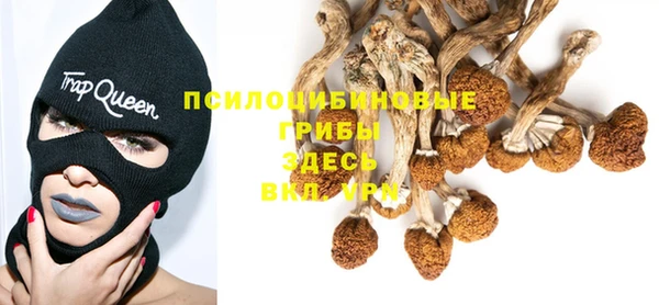 прущая мука Заволжье