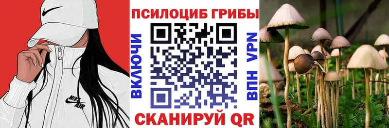 Купить  Завитинск  Псилоцибиновые грибы мухоморы 